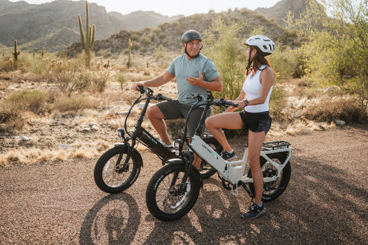 Lectric eBikes vs. Jasionbike