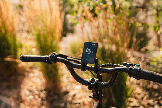 Voltage 101: How To Read E-Bike Your Battery Life