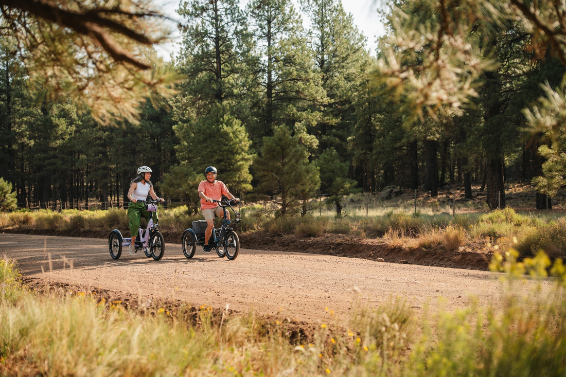 Are eBikes Worth it? Why a Lectric eBike Is Worth Every Penny (And Then Some)