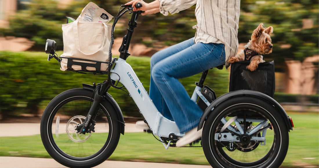 A Side-by-Side Look at XP Trike1 & XP Trike2