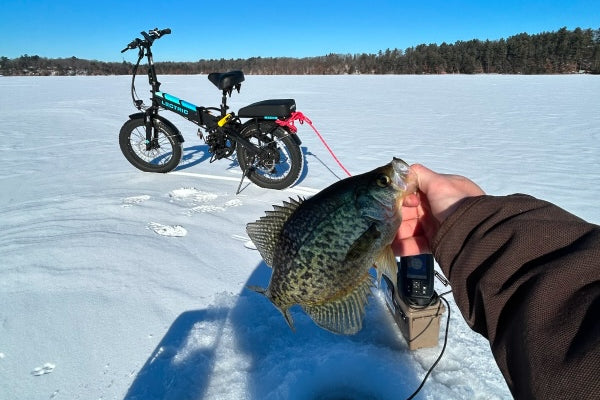 Lectric XP 3.0 Fishing Mobile
