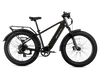 XPeak2 High-Step Long-Range eBike