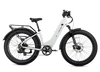 XPeak2 Step-Thru eBike