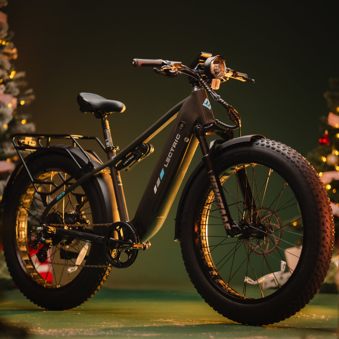 XPeak2 High-Step Long-Range eBike