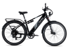 XPress 750 High-Step eBike