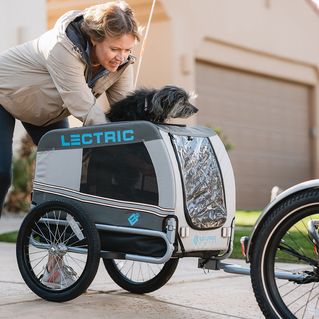 woman placing puppy in the Wag-Along Pet carrier on the back of her XP Trike