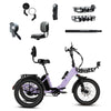 XP Trike2 750 Lavender Haze + FREE Cargo Package, Support Seat, Elite Headlight, Suspension Seat Post, Bike Lock, Mirrors ($558 Value)